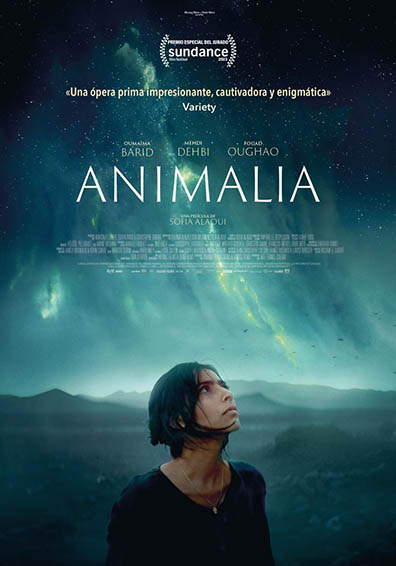 ANIMALIA ANIMALIA