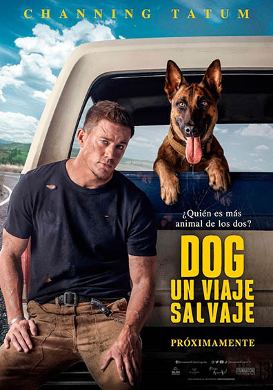 DOG DOG