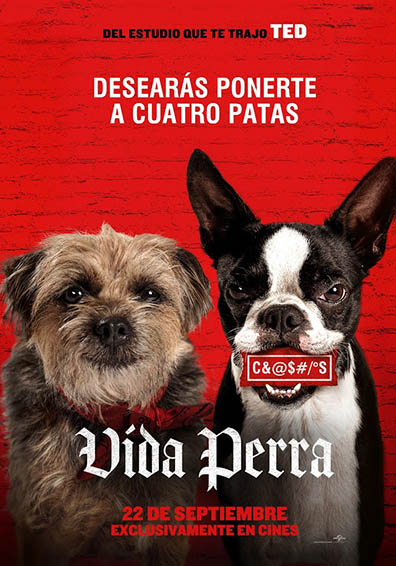 STRAYS STRAYS