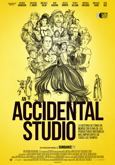 AN ACCIDENTAL STUDIO AN ACCIDENTAL STUDIO