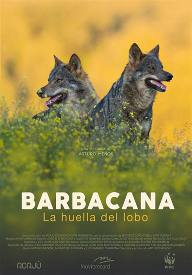 BARBACANA, LA HUELLA DEL LOBO 