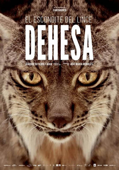 DEHESA, EL BOSQUE DEL LINCE IBERICO