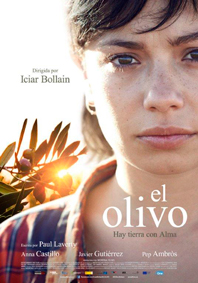 EL OLIVO EL OLIVO