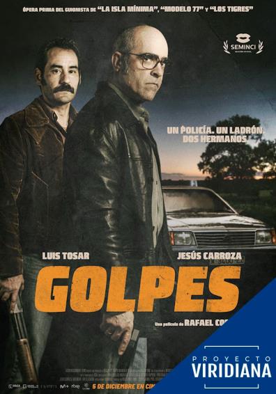 GOLPES (PROYECTO VIRIDIANA)