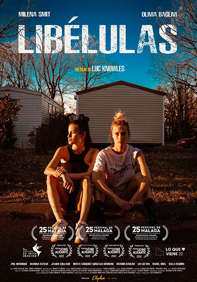 LIBÉLULAS LIBÉLULAS