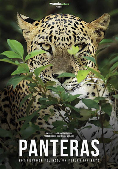 PANTERAS PANTERAS