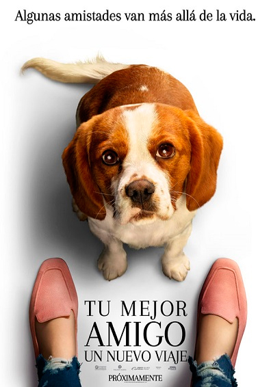 A DOG'S JOURNEY A DOG'S JOURNEY